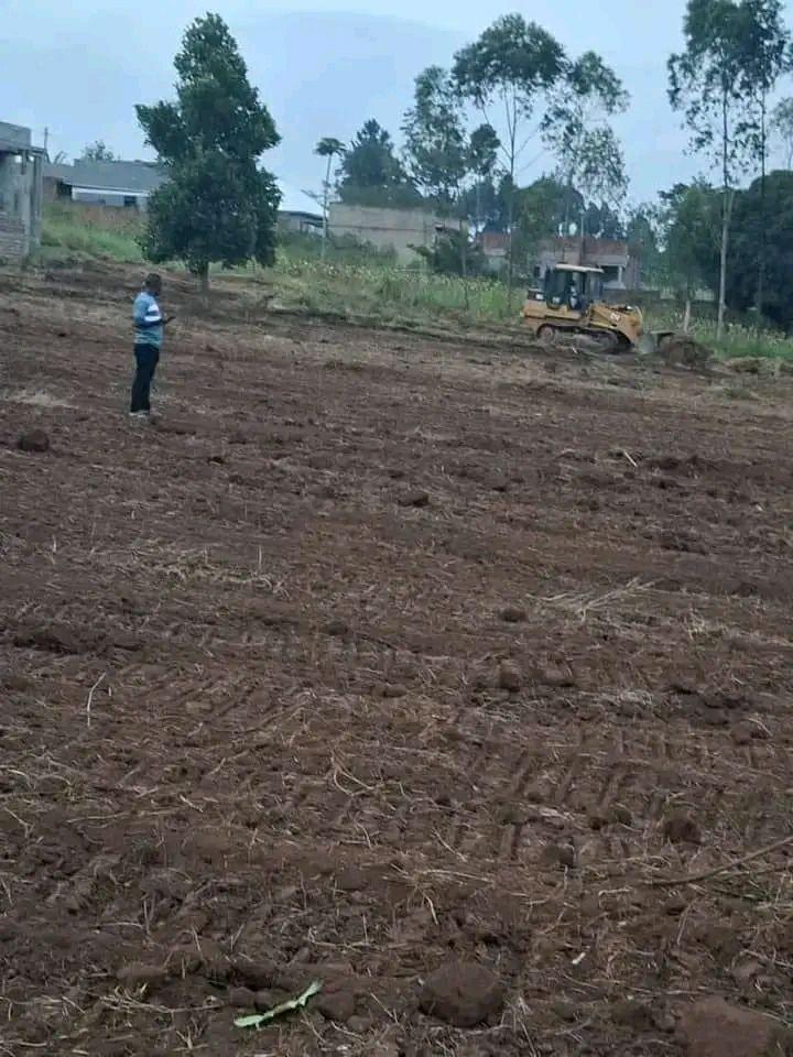 A picture of Plots