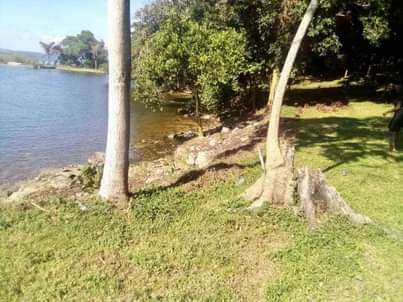 A picture of 10 Arcers of land in Kalangala ready and good for