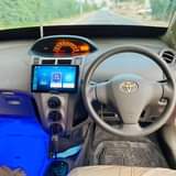A picture of Vitz
