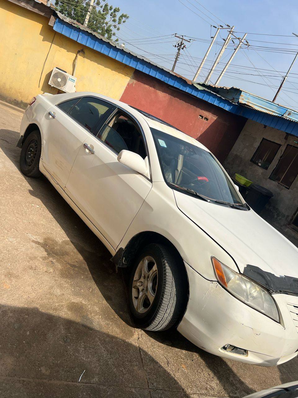 A picture of Camry muzzle