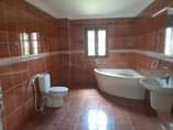 A picture of Mansion House for sale at njiro ppf there space can