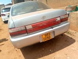 Kabonge J.