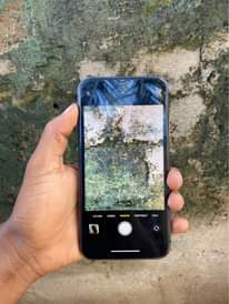 A picture of iphone 11 Plain