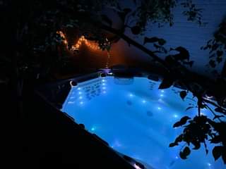 A picture of Master Spas Therapool D