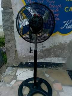 A picture of Feni