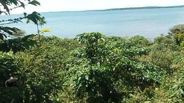 A picture of 100 acres of Beach land at BUIKWE