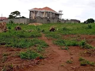 A picture of Wakiso town plots for sale both commercial Residential 25m 45m