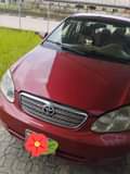 A picture of 2005 Toyota Corolla