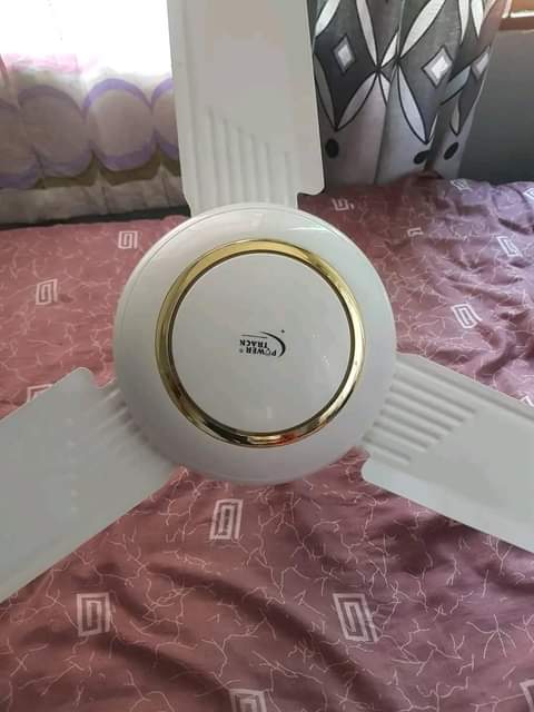 fans