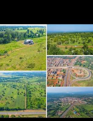 makutano plots