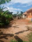 A picture of HOUSE