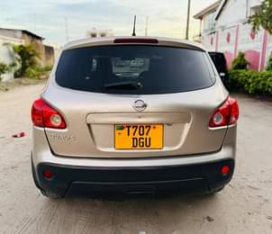 A picture of Nissan dualis