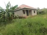 A picture of 33m Hot deal quick sale 33m located Buwambo Lugo Has