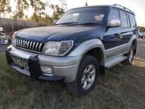 toyota prado j95