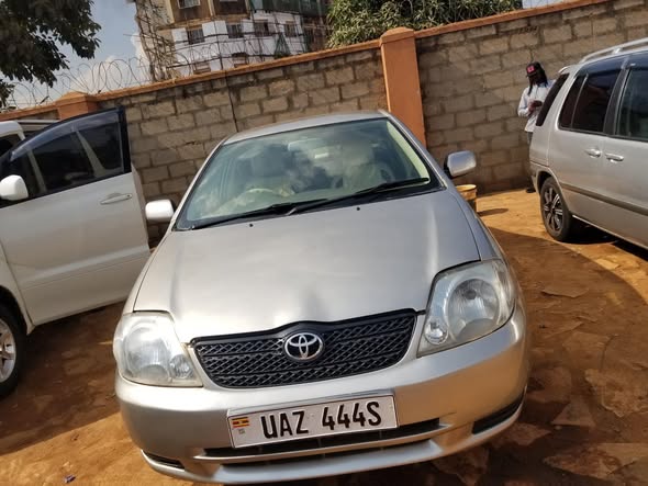 used toyota corolla