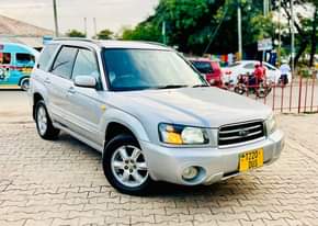 A picture of Subaru forester