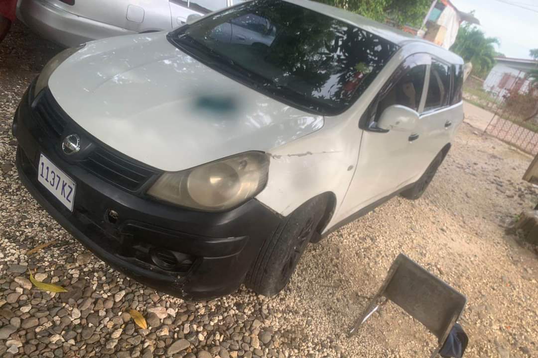 nissan ad wagon