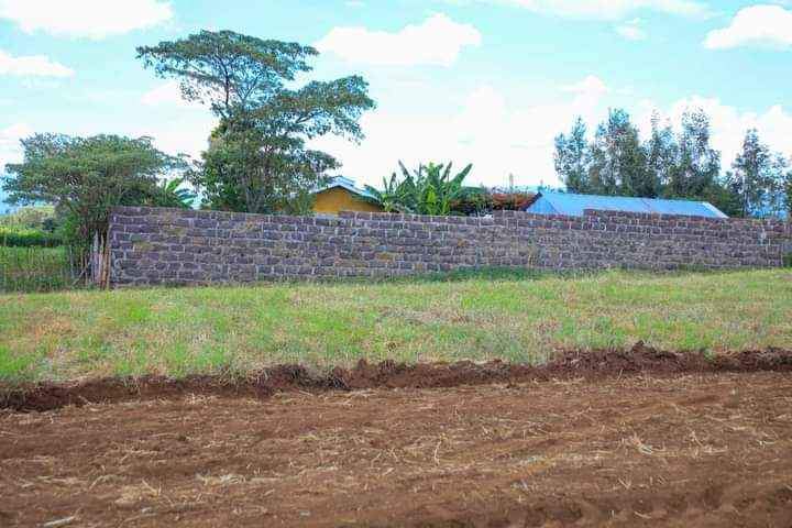 Nairobi B.