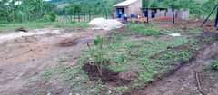A picture of Deal yakisubuzi Plot 50x100ft Price 5million Located matugga kiwebwa manze