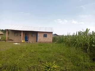 A picture of PLOT 40 100FT FOR SALE IN NAKASEKE KAPEEKA