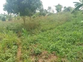 A picture of Land