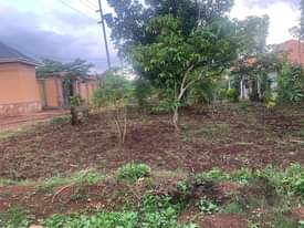 A picture of 50 130ft Wobulenzi Busula main road plot for sale Kampala