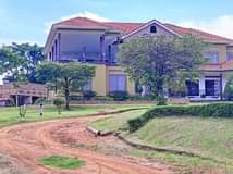 A picture of NEW SITE NOW OPEN 50x100FT with landtitle Located matugga Rwemwedde