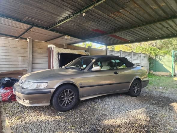 full service history cars sa