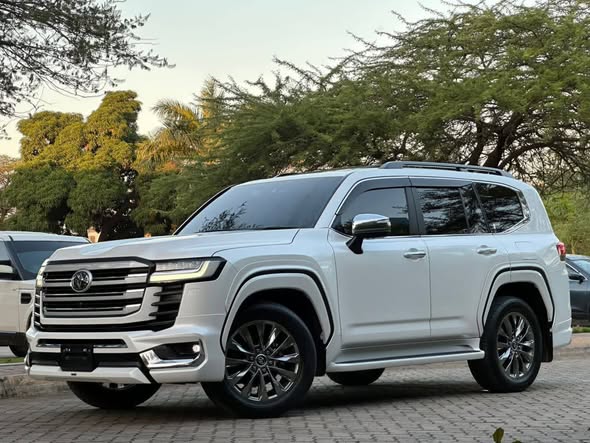 A picture of LANDCRUISER ZX