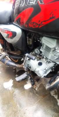 A picture of Boxer cc 125 0787642736