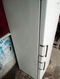 A picture of Nauza Friji