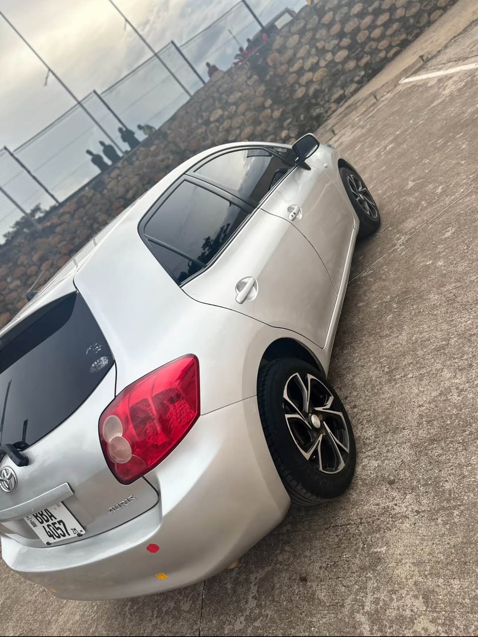 A picture of Auris