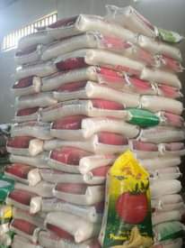 A picture of Rice