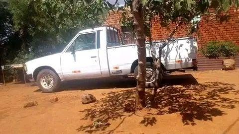 used nissan