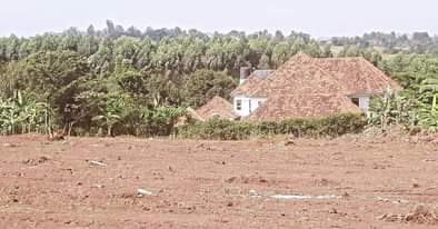 A picture of LAND FOR SALE