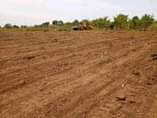 A picture of Hot deal matugga BAALE 100by100ft 8 5m 100by50ft 4 5m