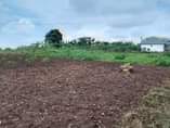 A picture of 1 plot remaining for quick sale