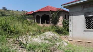 A picture of House for sale In Bujjuko Sema Estate on Mityana road.