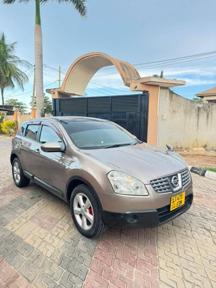A picture of Nissan Dualis