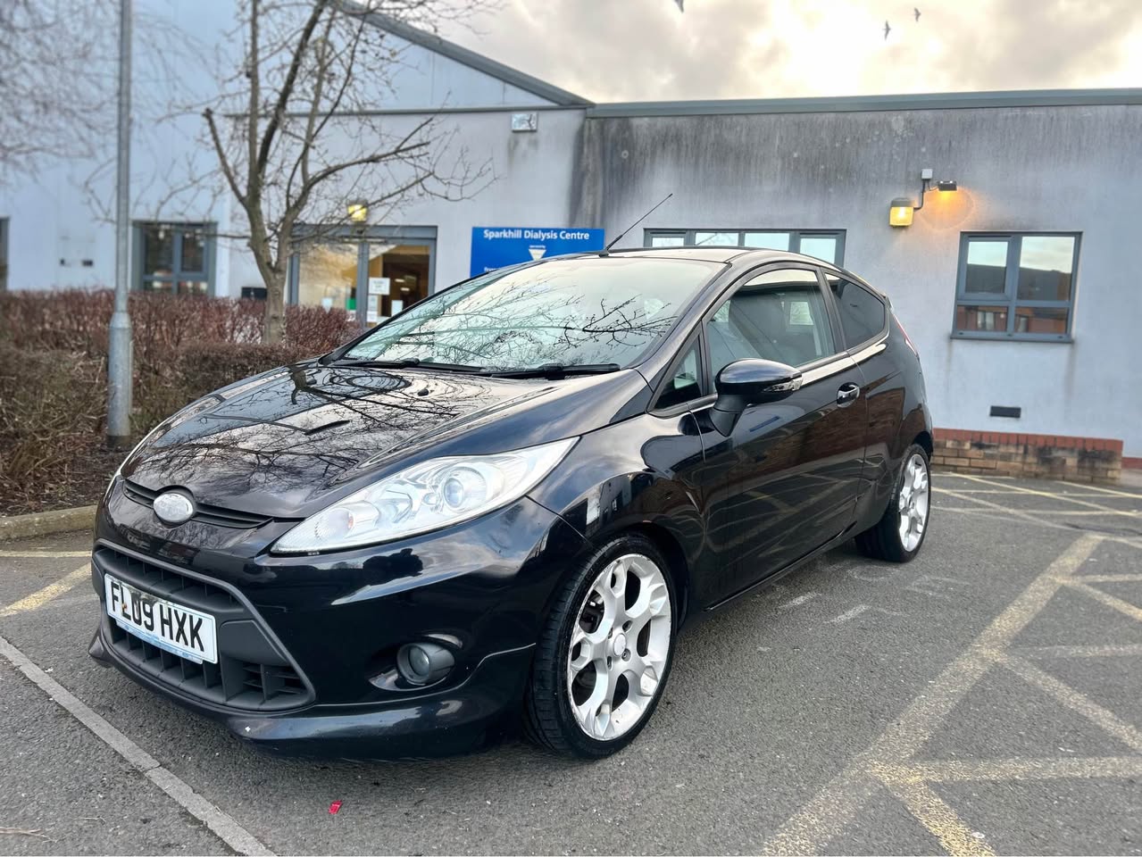 ford zetec