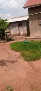 A picture of House with 3 bed rooms n sitting room