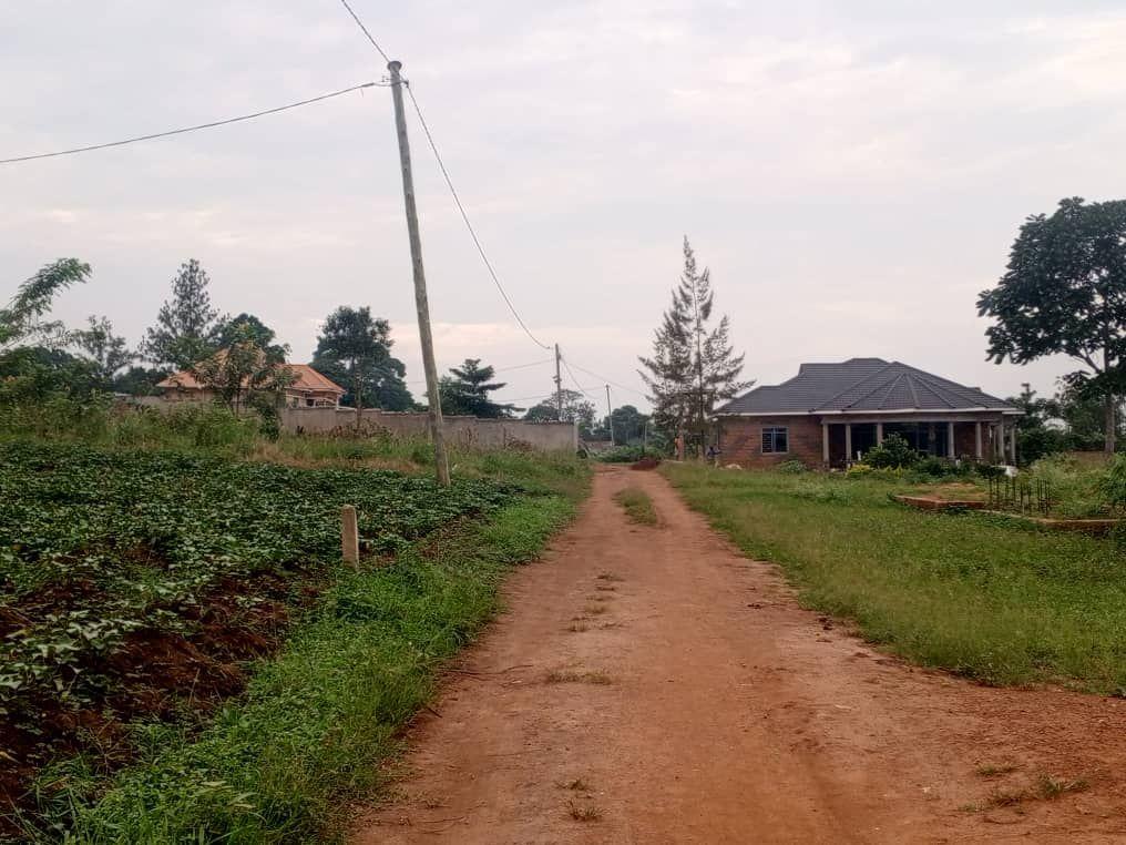 A picture of BUSUBUZI DEAL UGX22Millions Plot size 50 100fts on quick sale
