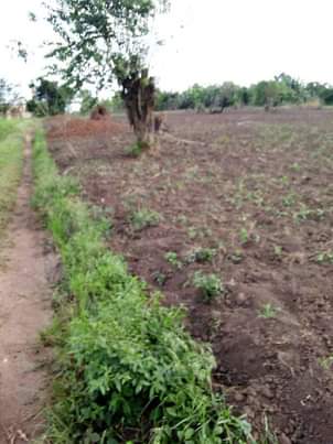 A picture of Plots for sale