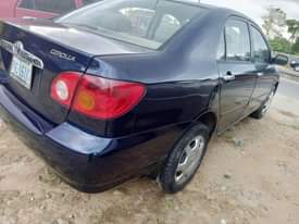 A picture of COROLLA