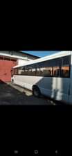 A picture of BUS ROSA