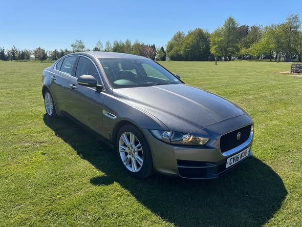 jaguar