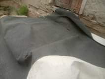 A picture of Zuria kubwa sana