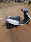 A picture of Honda Dio