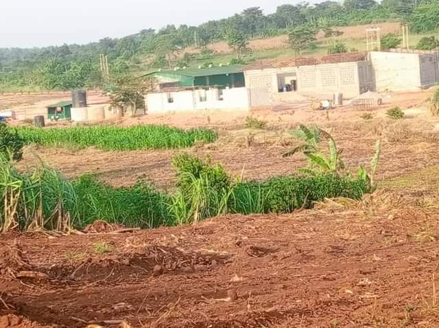 houses matugga