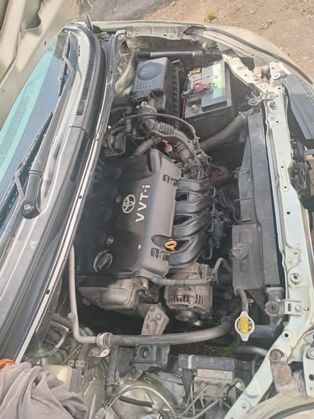 A picture of TOYOTA SPACIO